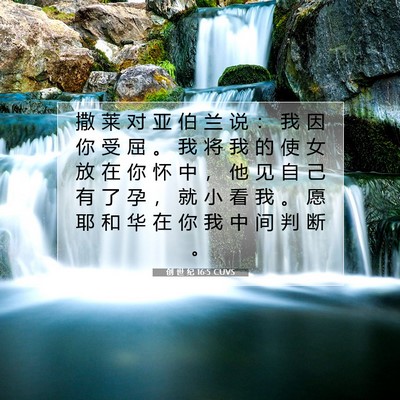 Picture 07 - 创 世 纪 16:5 CUVS - 撒 莱 对 亚 伯 兰 说 ： 我 因 你 受 - Bible Verse Picture
