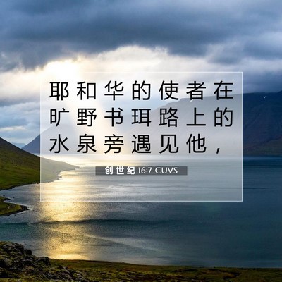 Picture 07 - 创 世 纪 16:7 CUVS - 耶 和 华 的 使 者 在 旷 野 书 珥 路 - Bible Verse Picture