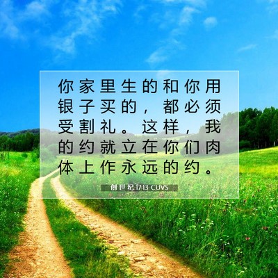 Picture 07 - 创 世 纪 17:13 CUVS - 你 家 里 生 的 和 你 用 银 子 买 的 - Bible Verse Picture
