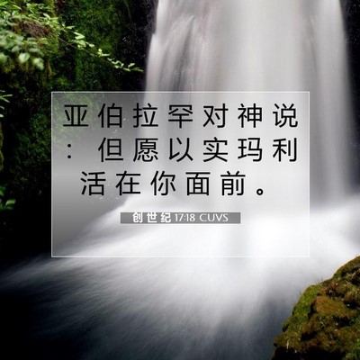 Picture 07 - 创 世 纪 17:18 CUVS - 亚 伯 拉 罕 对 神 说 ： 但 愿 以 实 - Bible Verse Picture