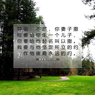 Picture 07 - 创 世 纪 17:19 CUVS - 神 说 ： 不 然 ， 你 妻 子 撒 拉 要 - Bible Verse Picture