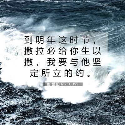 Picture 07 - 创 世 纪 17:21 CUVS - 到 明 年 这 时 节 ， 撒 拉 必 给 你 - Bible Verse Picture