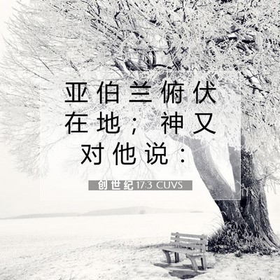Picture 07 - 创 世 纪 17:3 CUVS - 亚 伯 兰 俯 伏 在 地 ； 神 又 对 他 - Bible Verse Picture