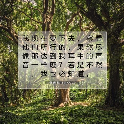 Picture 07 - 创 世 纪 18:21 CUVS - 我 现 在 要 下 去 ， 察 看 他 们 所 - Bible Verse Picture