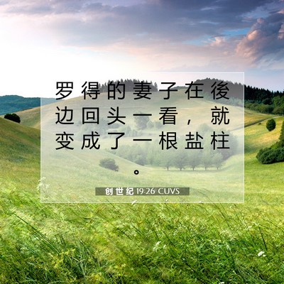 Picture 07 - 创 世 纪 19:26 CUVS - 罗 得 的 妻 子 在 後 边 回 头 一 看 - Bible Verse Picture