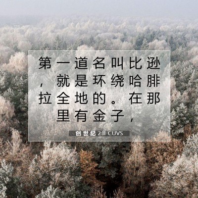 Picture 07 - 创 世 纪 2:11 CUVS - 第 一 道 名 叫 比 逊 ， 就 是 环 绕 - Bible Verse Picture