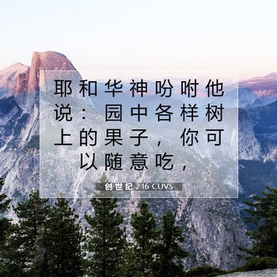 Picture 07 - 创 世 纪 2:16 CUVS - 耶 和 华 神 吩 咐 他 说 ： 园 中 各 - Bible Verse Picture