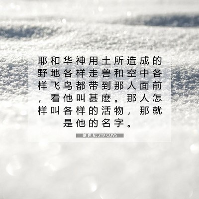 Picture 07 - 创 世 纪 2:19 CUVS - 耶 和 华 神 用 土 所 造 成 的 野 地 - Bible Verse Picture