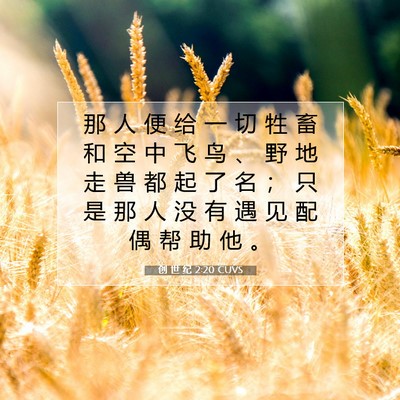 Picture 07 - 创 世 纪 2:20 CUVS - 那 人 便 给 一 切 牲 畜 和 空 中 飞 - Bible Verse Picture