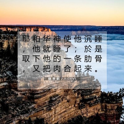 Picture 07 - 创 世 纪 2:21 CUVS - 耶 和 华 神 使 他 沉 睡 ， 他 就 睡 - Bible Verse Picture