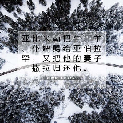 Picture 07 - 创 世 纪 20:14 CUVS - 亚 比 米 勒 把 牛 、 羊 、 仆 婢 赐 - Bible Verse Picture