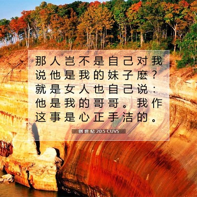 Picture 07 - 创 世 纪 20:5 CUVS - 那 人 岂 不 是 自 己 对 我 说 他 是 - Bible Verse Picture