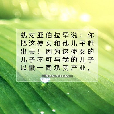 Picture 07 - 创 世 纪 21:10 CUVS - 就 对 亚 伯 拉 罕 说 ： 你 把 这 使 - Bible Verse Picture