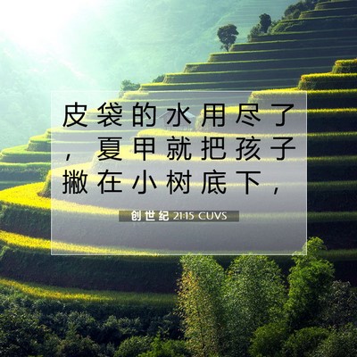 Picture 07 - 创 世 纪 21:15 CUVS - 皮 袋 的 水 用 尽 了 ， 夏 甲 就 把 - Bible Verse Picture