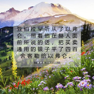 Picture 07 - 创 世 纪 23:16 CUVS - 亚 伯 拉 罕 听 从 了 以 弗 仑 ， 照 - Bible Verse Picture