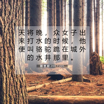 Picture 07 - 创 世 纪 24:11 CUVS - 天 将 晚 ， 众 女 子 出 来 打 水 的 - Bible Verse Picture