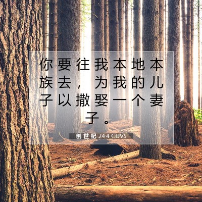 Picture 07 - 创 世 纪 24:4 CUVS - 你 要 往 我 本 地 本 族 去 ， 为 我 - Bible Verse Picture
