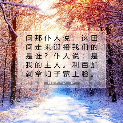 Picture 07 - 创 世 纪 24:65 CUVS - 问 那 仆 人 说 ： 这 田 间 走 来 迎 - Bible Verse Picture