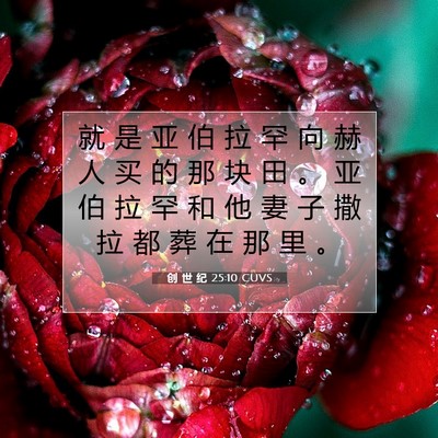 Picture 07 - 创 世 纪 25:10 CUVS - 就 是 亚 伯 拉 罕 向 赫 人 买 的 那 - Bible Verse Picture