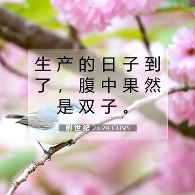 Picture 07 - 创 世 纪 25:24 CUVS - 生 产 的 日 子 到 了 ， 腹 中 果 然 - Bible Verse Picture