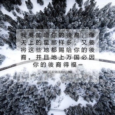 Picture 07 - 创 世 纪 26:4 CUVS - 我 要 加 增 你 的 後 裔 ， 像 天 上 - Bible Verse Picture