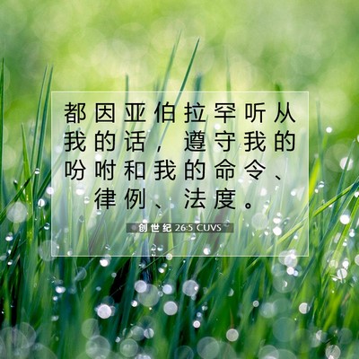 Picture 07 - 创 世 纪 26:5 CUVS - 都 因 亚 伯 拉 罕 听 从 我 的 话 ， - Bible Verse Picture