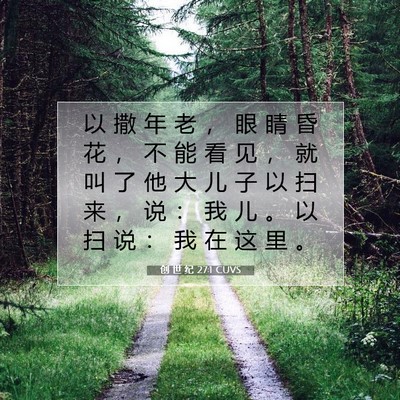 Picture 07 - 创 世 纪 27:1 CUVS - 以 撒 年 老 ， 眼 睛 昏 花 ， 不 能 - Bible Verse Picture