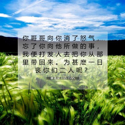 Picture 07 - 创 世 纪 27:45 CUVS - 你 哥 哥 向 你 消 了 怒 气 ， 忘 了 - Bible Verse Picture
