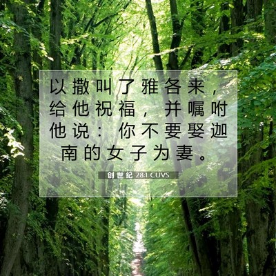 Picture 07 - 创 世 纪 28:1 CUVS - 以 撒 叫 了 雅 各 来 ， 给 他 祝 福 - Bible Verse Picture