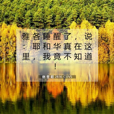 Picture 07 - 创 世 纪 28:16 CUVS - 雅 各 睡 醒 了 ， 说 ： 耶 和 华 真 - Bible Verse Picture