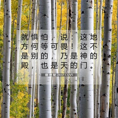 Picture 07 - 创 世 纪 28:17 CUVS - 就 惧 怕 ， 说 ： 这 地 方 何 等 可 - Bible Verse Picture