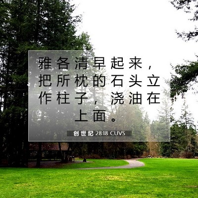 Picture 07 - 创 世 纪 28:18 CUVS - 雅 各 清 早 起 来 ， 把 所 枕 的 石 - Bible Verse Picture