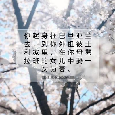 Picture 07 - 创 世 纪 28:2 CUVS - 你 起 身 往 巴 旦 亚 兰 去 ， 到 你 - Bible Verse Picture
