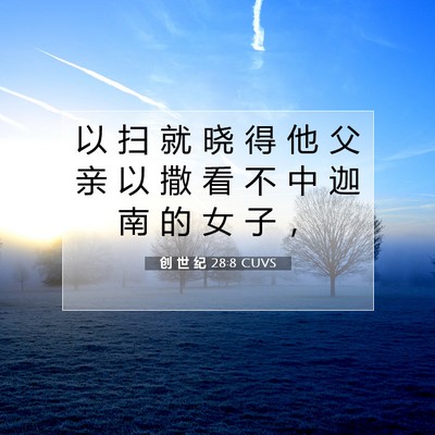 Picture 07 - 创 世 纪 28:8 CUVS - 以 扫 就 晓 得 他 父 亲 以 撒 看 不 - Bible Verse Picture