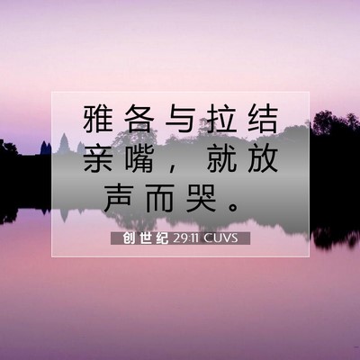 Picture 07 - 创 世 纪 29:11 CUVS - 雅 各 与 拉 结 亲 嘴 ， 就 放 声 而 - Bible Verse Picture