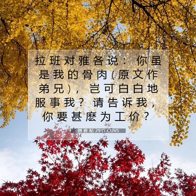 Picture 07 - 创 世 纪 29:15 CUVS - 拉 班 对 雅 各 说 ： 你 虽 是 我 的 - Bible Verse Picture