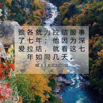 Picture 07 - 创 世 纪 29:20 CUVS - 雅 各 就 为 拉 结 服 事 了 七 年 ； - Bible Verse Picture