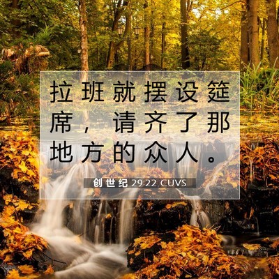 Picture 07 - 创 世 纪 29:22 CUVS - 拉 班 就 摆 设 筵 席 ， 请 齐 了 那 - Bible Verse Picture