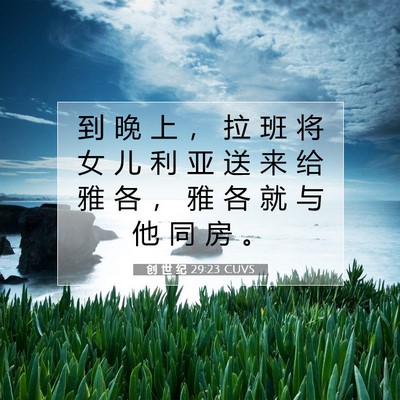 Picture 07 - 创 世 纪 29:23 CUVS - 到 晚 上 ， 拉 班 将 女 儿 利 亚 送 - Bible Verse Picture
