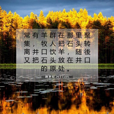 Picture 07 - 创 世 纪 29:3 CUVS - 常 有 羊 群 在 那 里 聚 集 ， 牧 人 - Bible Verse Picture