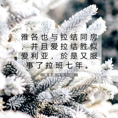 Picture 07 - 创 世 纪 29:30 CUVS - 雅 各 也 与 拉 结 同 房 ， 并 且 爱 - Bible Verse Picture