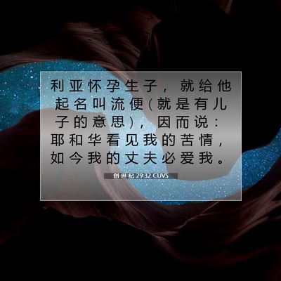 Picture 07 - 创 世 纪 29:32 CUVS - 利 亚 怀 孕 生 子 ， 就 给 他 起 名 - Bible Verse Picture