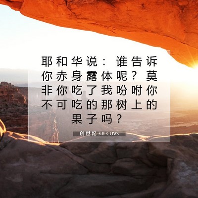 Picture 07 - 创 世 纪 3:11 CUVS - 耶 和 华 说 ： 谁 告 诉 你 赤 身 露 - Bible Verse Picture
