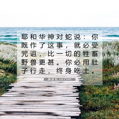 Picture 07 - 创 世 纪 3:14 CUVS - 耶 和 华 神 对 蛇 说 ： 你 既 作 了 - Bible Verse Picture