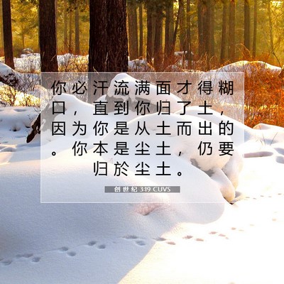 Picture 07 - 创 世 纪 3:19 CUVS - 你 必 汗 流 满 面 才 得 糊 口 ， 直 - Bible Verse Picture