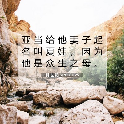 Picture 07 - 创 世 纪 3:20 CUVS - 亚 当 给 他 妻 子 起 名 叫 夏 娃 ， - Bible Verse Picture