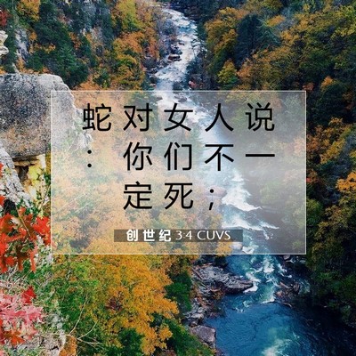 Picture 07 - 创 世 纪 3:4 CUVS - 蛇 对 女 人 说 ： 你 们 不 一 定 死 - Bible Verse Picture