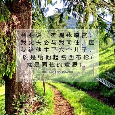 Picture 07 - 创 世 纪 30:20 CUVS - 利 亚 说 ： 神 赐 我 厚 赏 ； 我 丈 - Bible Verse Picture