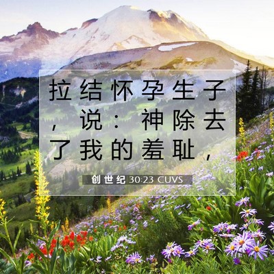Picture 07 - 创 世 纪 30:23 CUVS - 拉 结 怀 孕 生 子 ， 说 ： 神 除 去 - Bible Verse Picture