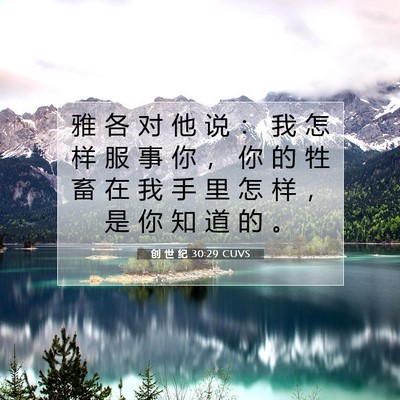 Picture 07 - 创 世 纪 30:29 CUVS - 雅 各 对 他 说 ： 我 怎 样 服 事 你 - Bible Verse Picture